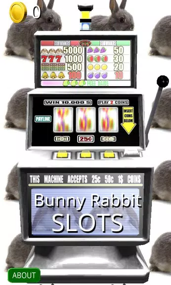 3D Bunny Rabbit Slots 3D Bunny Rabbit Slots