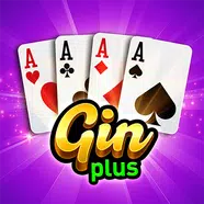 Gin Rummy Plus apk Gin Rummy Plus apk APK icon