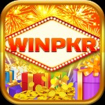 WINPKR APK icon